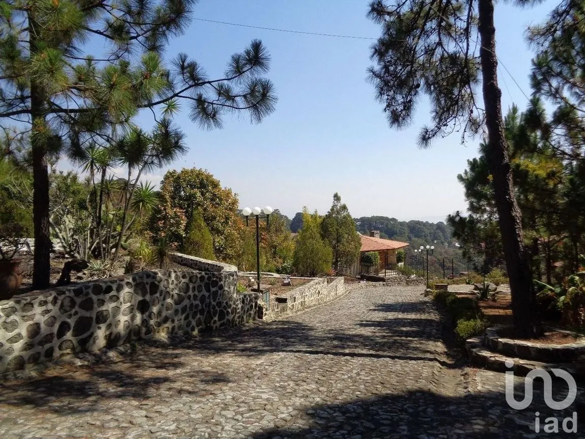 Casa en Venta en Del Bosque, Cuernavaca, Morelos | NEX-78345 | iad México | Foto 12 de 34
