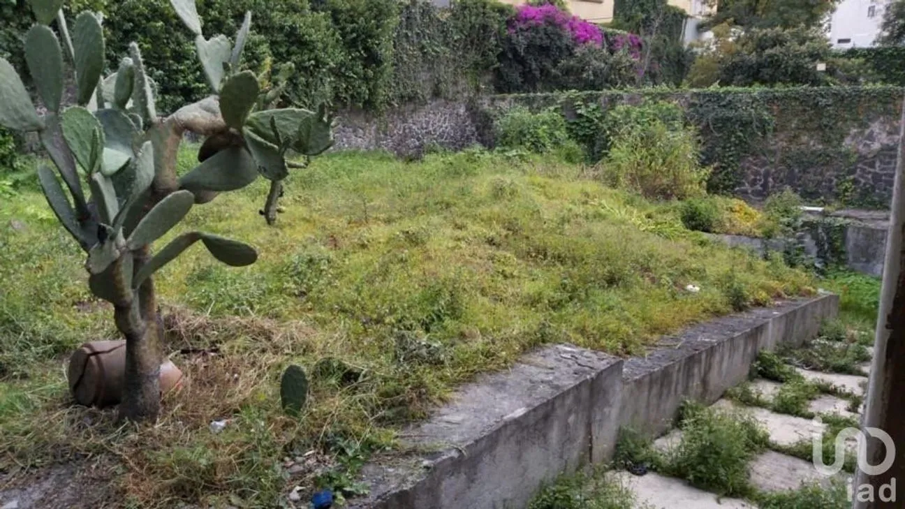 Terreno en Venta en Jardines del Pedregal, Álvaro Obregón, Ciudad de México | NEX-101864 | iad México | Foto 2 de 8
