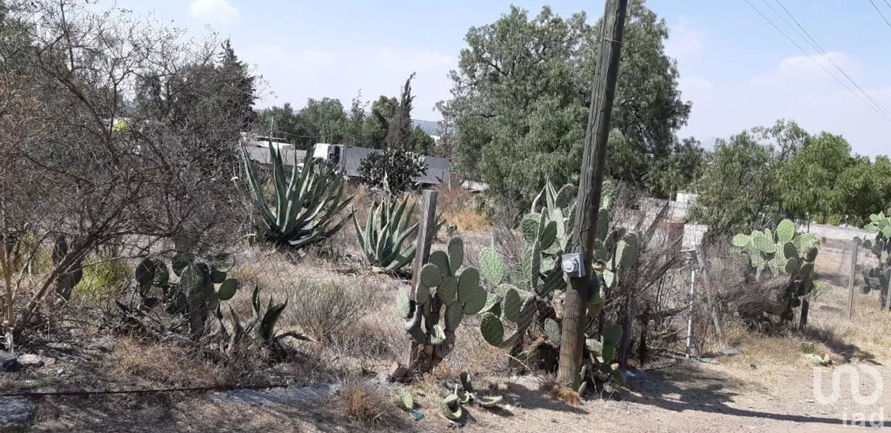 Terreno en Venta en San Miguel Atepoxco, Nopaltepec, Estado De México | NEX-228981 | iad México | Foto 2 de 9