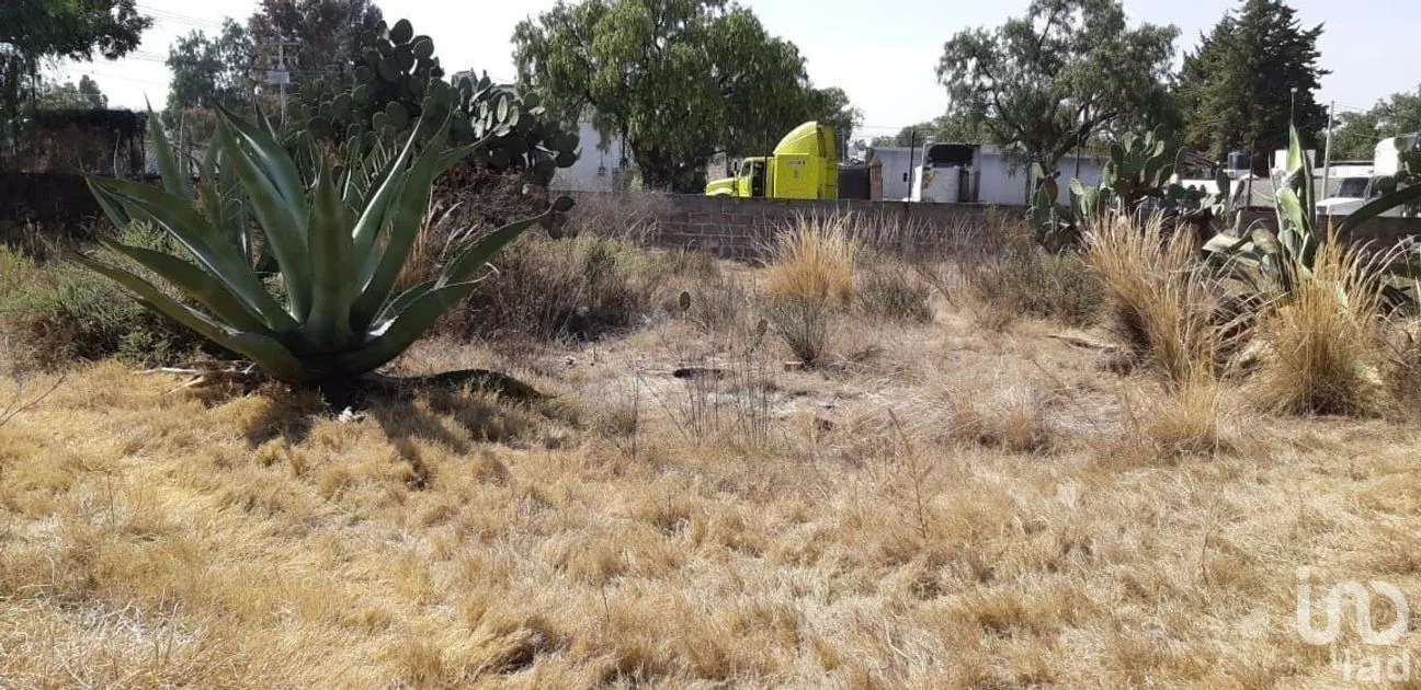 Terreno en Venta en San Miguel Atepoxco, Nopaltepec, Estado De México | NEX-228981 | iad México | Foto 3 de 9
