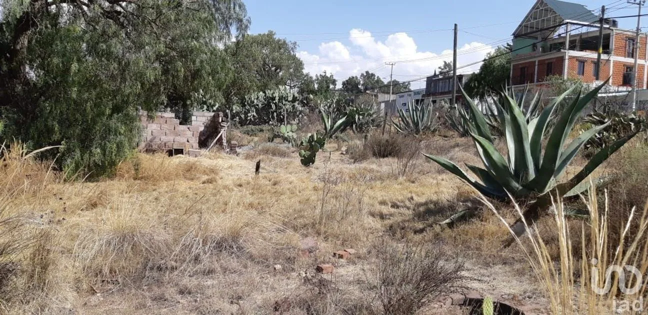 Terreno en Venta en San Miguel Atepoxco, Nopaltepec, Estado De México | NEX-228981 | iad México | Foto 4 de 9