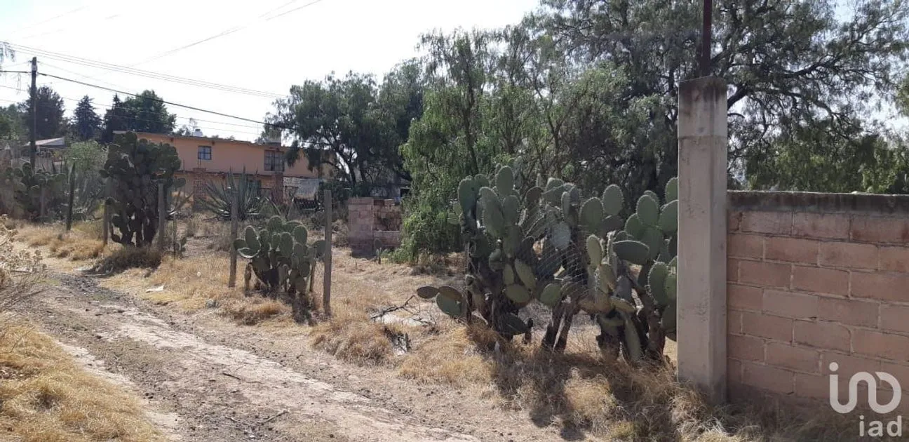 Terreno en Venta en San Miguel Atepoxco, Nopaltepec, Estado De México | NEX-228981 | iad México | Foto 5 de 9