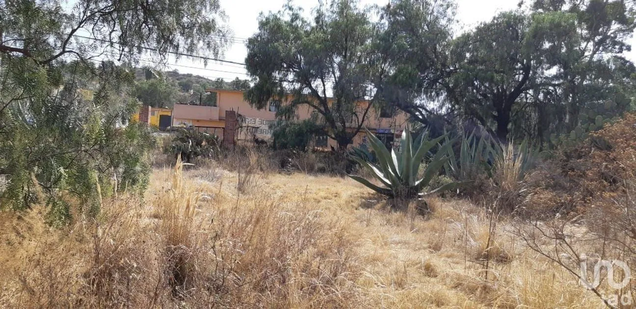 Terreno en Venta en San Miguel Atepoxco, Nopaltepec, Estado De México | NEX-228981 | iad México | Foto 6 de 9