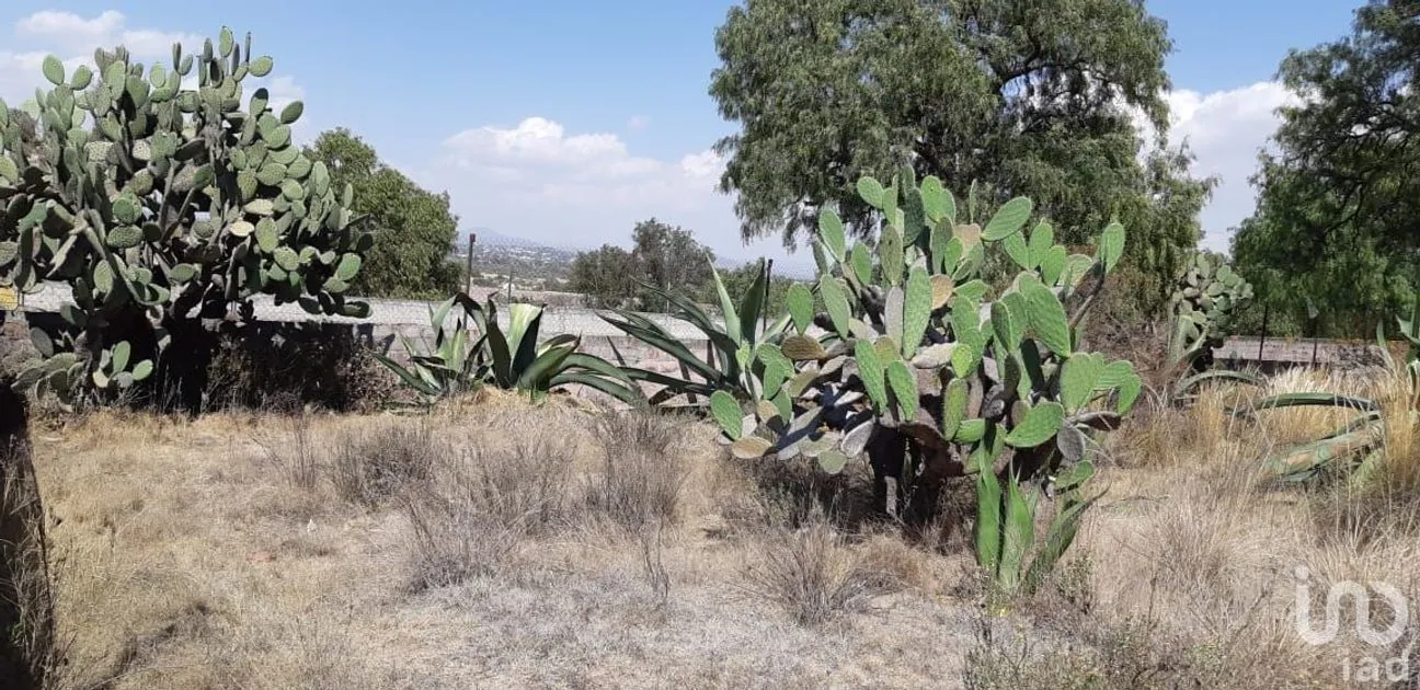 Terreno en Venta en San Miguel Atepoxco, Nopaltepec, Estado De México | NEX-228981 | iad México | Foto 7 de 9