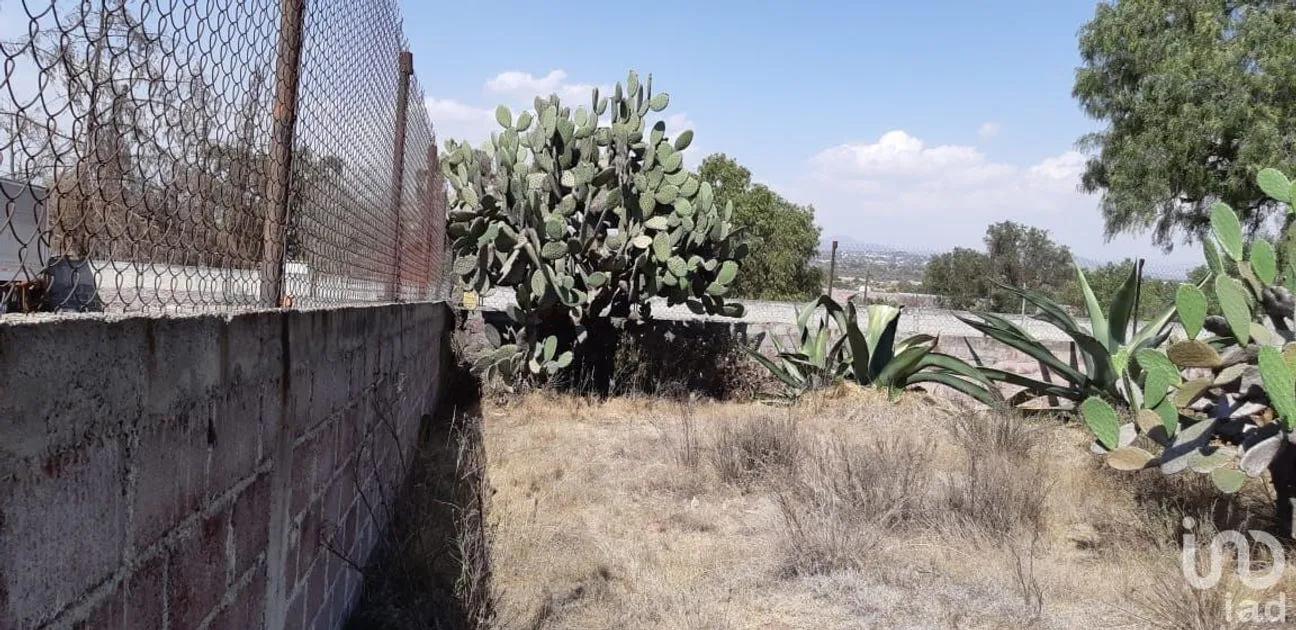 Terreno en Venta en San Miguel Atepoxco, Nopaltepec, Estado De México | NEX-228981 | iad México | Foto 8 de 9