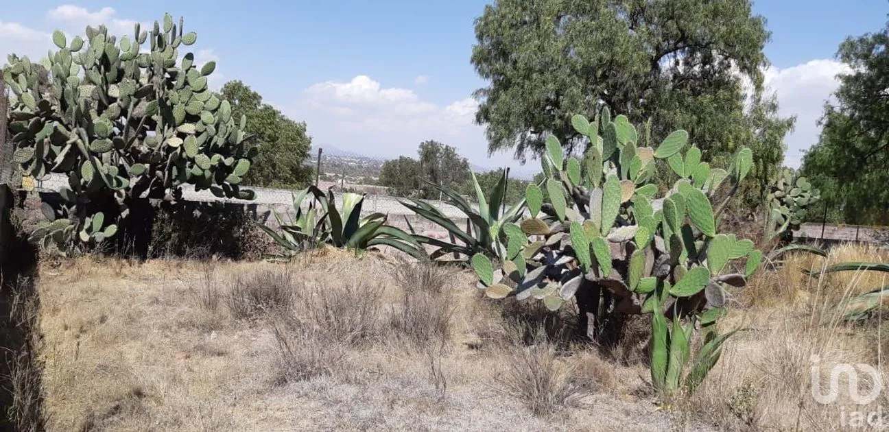 Terreno en Venta en San Miguel Atepoxco, Nopaltepec, Estado De México | NEX-228981 | iad México | Foto 9 de 9