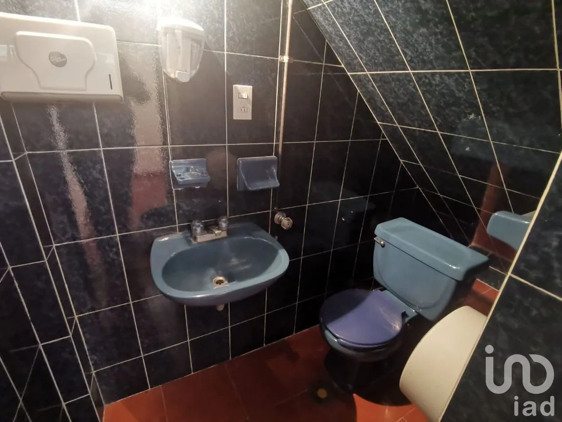 Oficina en Renta en Pedregal de Santo Domingo, Coyoacán, Ciudad de México | NEX-229899 | iad México | Foto 12 de 28