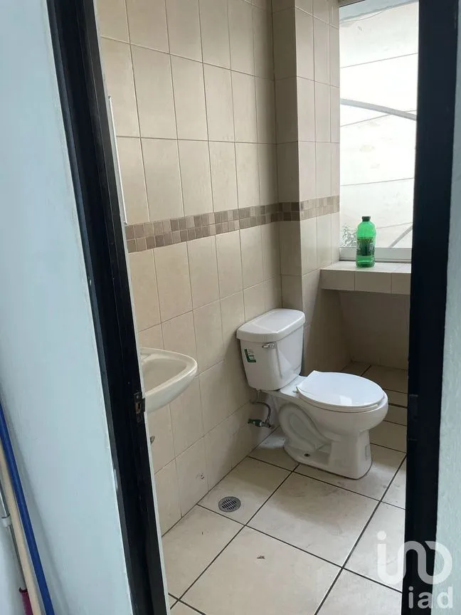 Oficina en Renta en Pedregal de Santo Domingo, Coyoacán, Ciudad de México | NEX-229899 | iad México | Foto 25 de 28