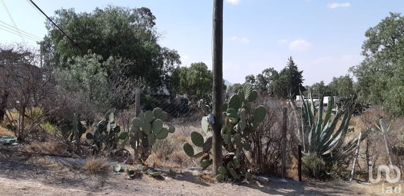 Terreno en Venta en San Miguel Atepoxco, Nopaltepec, Estado De México | NEX-232246 | iad México | Foto 3 de 9
