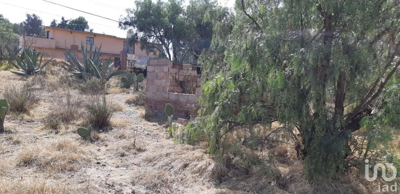 Terreno en Venta en San Miguel Atepoxco, Nopaltepec, Estado De México | NEX-232246 | iad México | Foto 4 de 9