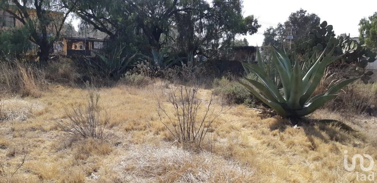 Terreno en Venta en San Miguel Atepoxco, Nopaltepec, Estado De México | NEX-232246 | iad México | Foto 8 de 9