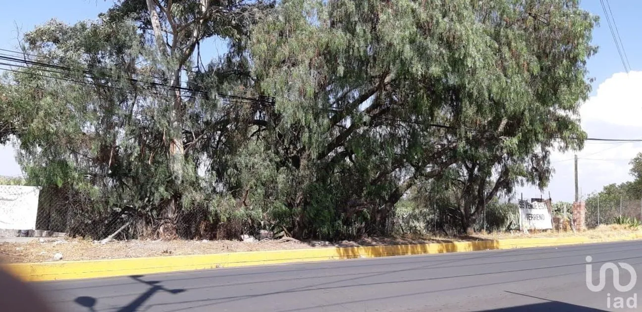 Terreno en Venta en San Miguel Atepoxco, Nopaltepec, Estado De México | NEX-232246 | iad México | Foto 9 de 9