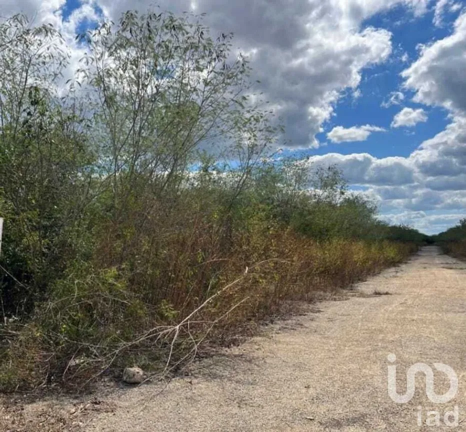 Terreno en Venta en Yaxcopoil, Umán, Yucatán | NEX-226898 | iad México | Foto 11 de 11