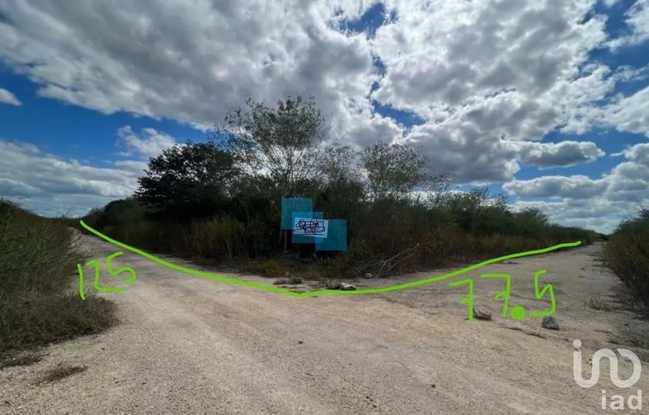 Terreno en Venta en Yaxcopoil, Umán, Yucatán | NEX-226898 | iad México | Foto 8 de 11