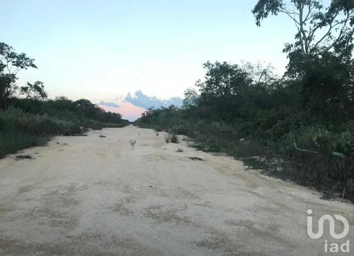 Terreno en Venta en Yaxcopoil, Umán, Yucatán | NEX-226898 | iad México | Foto 9 de 11