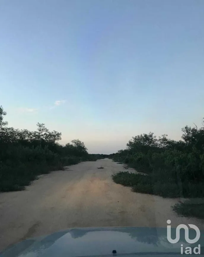 Terreno en Venta en Yaxcopoil, Umán, Yucatán | NEX-226898 | iad México | Foto 10 de 11