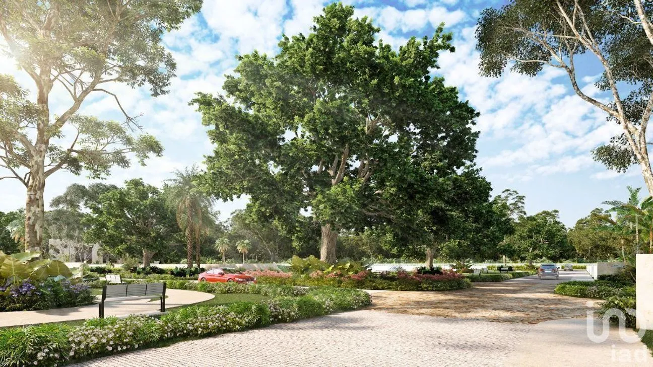 Terreno en Venta en Santa María Yaxché, Mérida, Yucatán | NEX-228975 | iad México | Foto 10 de 24