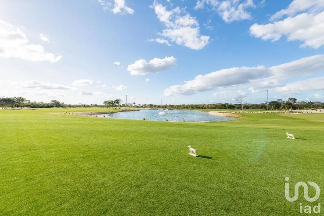 Terreno en Venta en Tamanché, Mérida, Yucatán | NEX-229895 | iad México | Foto 4 de 20