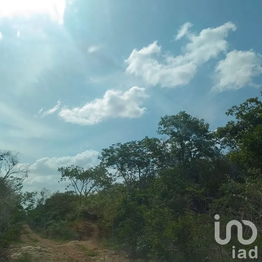 Terreno en Venta en Yaxkukul, Yaxkukul, Yucatán | NEX-229897 | iad México | Foto 2 de 8