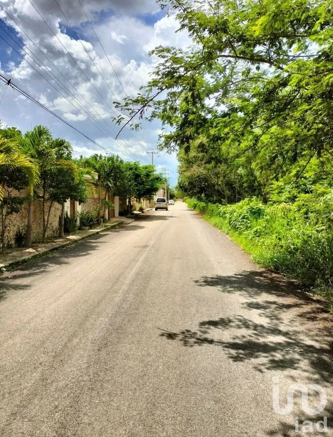Terreno en Venta en Cholul, Mérida, Yucatán | NEX-231721 | iad México | Foto 5 de 7