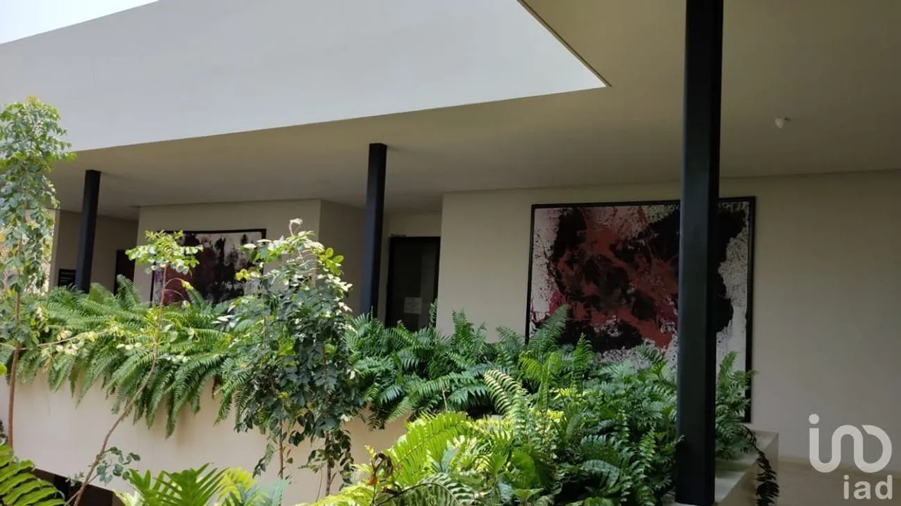 Terreno en Venta en Tamanché, Mérida, Yucatán | NEX-231845 | iad México | Foto 6 de 20