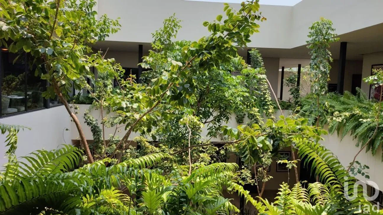 Terreno en Venta en Tamanché, Mérida, Yucatán | NEX-231845 | iad México | Foto 7 de 20