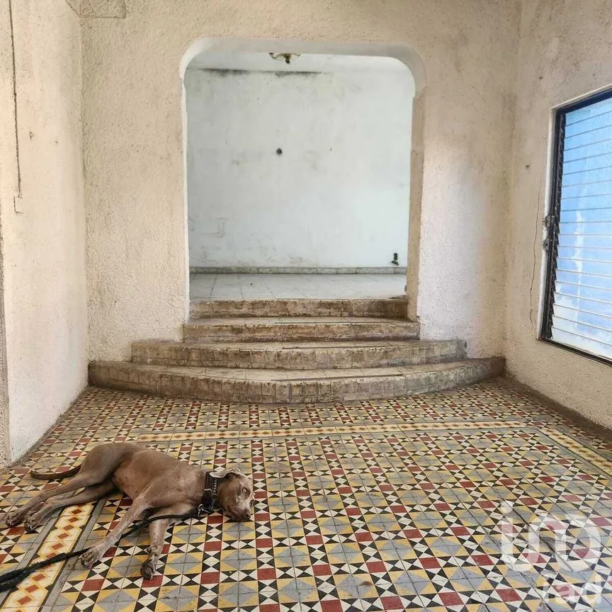 Casa en Venta en Mérida Centro, Mérida, Yucatán | NEX-277714 | iad México | Foto 27 de 49