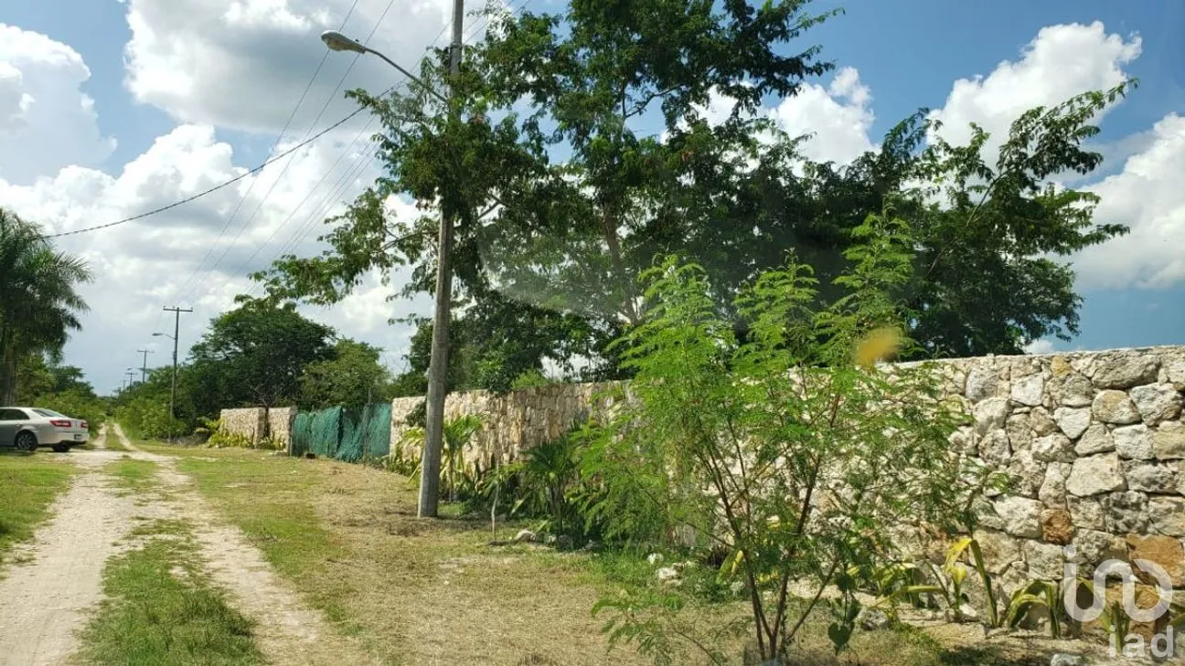 Terreno en Renta en Conkal, Conkal, Yucatán | NEX-277717 | iad México | Foto 11 de 12