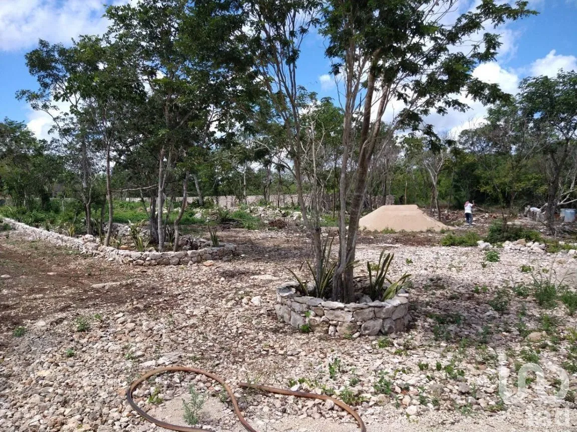 Terreno en Renta en Conkal, Conkal, Yucatán | NEX-277717 | iad México | Foto 4 de 12