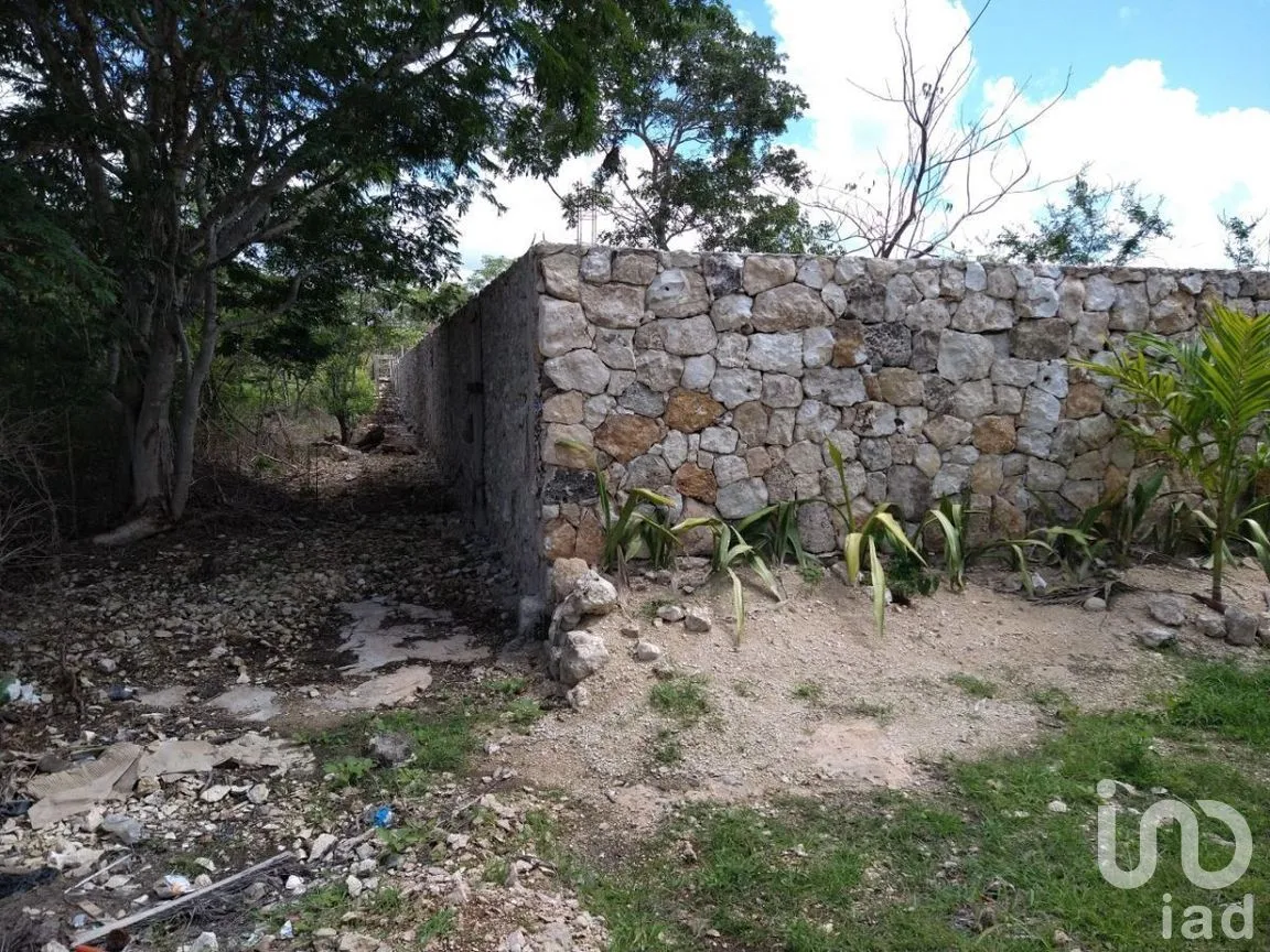 Terreno en Renta en Conkal, Conkal, Yucatán | NEX-277717 | iad México | Foto 5 de 12