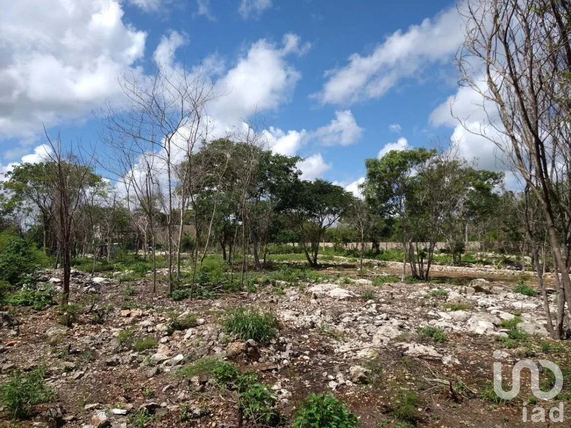 Terreno en Renta en Conkal, Conkal, Yucatán | NEX-277717 | iad México | Foto 7 de 12