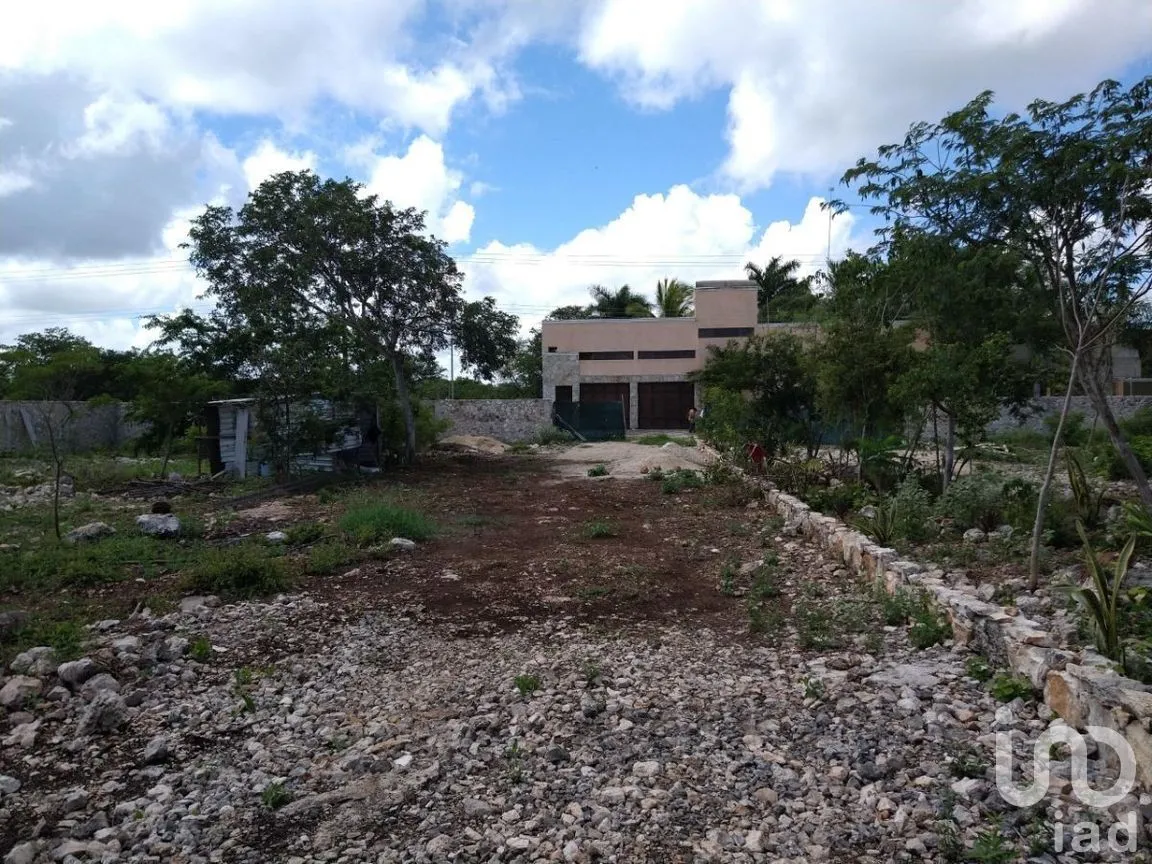 Terreno en Renta en Conkal, Conkal, Yucatán | NEX-277717 | iad México | Foto 8 de 12