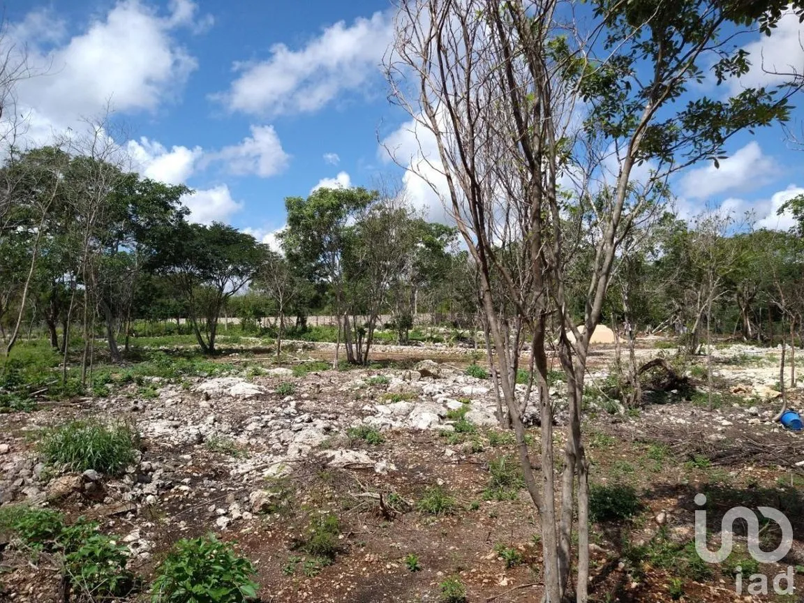 Terreno en Renta en Conkal, Conkal, Yucatán | NEX-277717 | iad México | Foto 9 de 12