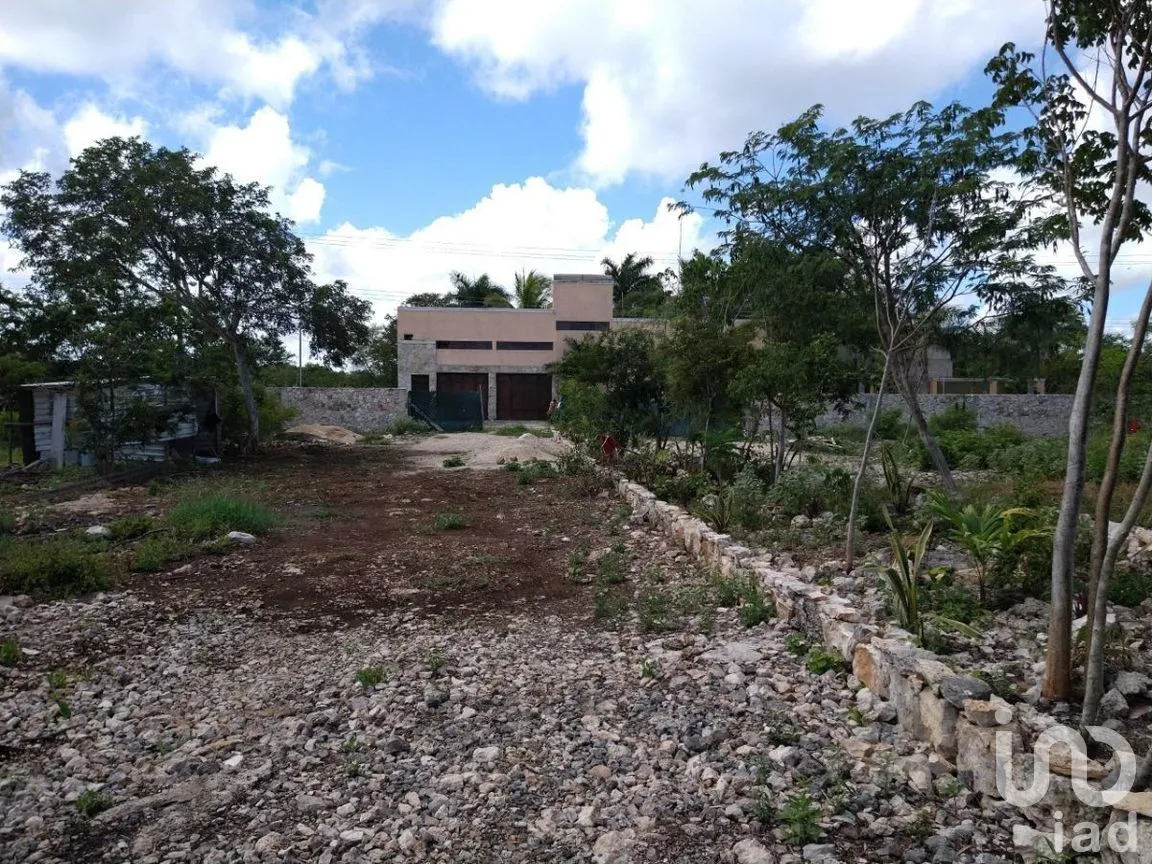 Terreno en Renta en Conkal, Conkal, Yucatán | NEX-277717 | iad México | Foto 10 de 12