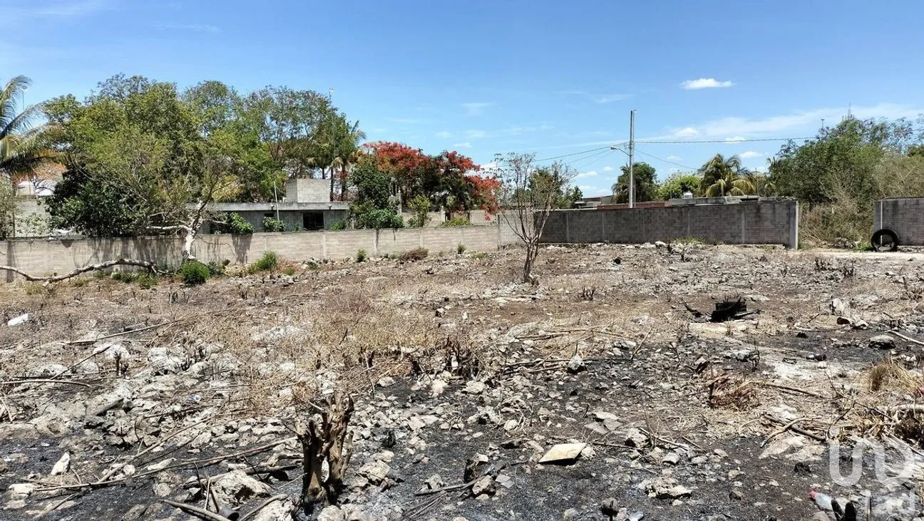 Terreno en Venta en San Pedro Noh Pat, Kanasín, Yucatán | NEX-277718 | iad México | Foto 2 de 11