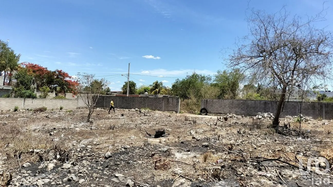 Terreno en Venta en San Pedro Noh Pat, Kanasín, Yucatán | NEX-277718 | iad México | Foto 11 de 11