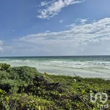 NEX-278660 - Terreno en Venta en Mahahual, CP 77976, Quintana Roo.