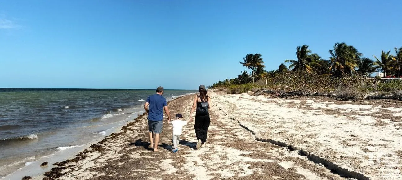 Terreno en Venta en San Crisanto, Sinanché, Yucatán | NEX-284486 | iad México | Foto 6 de 10