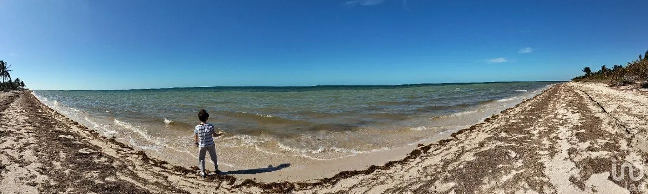 Terreno en Venta en San Crisanto, Sinanché, Yucatán | NEX-284486 | iad México | Foto 8 de 10