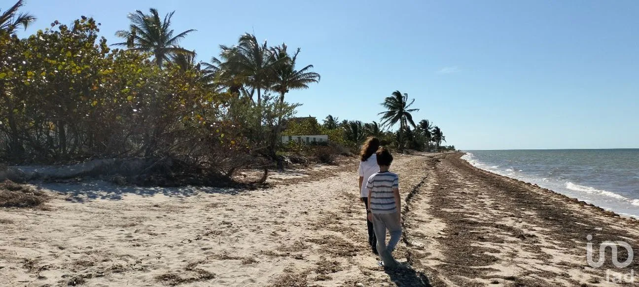 Terreno en Venta en San Crisanto, Sinanché, Yucatán | NEX-284486 | iad México | Foto 10 de 10