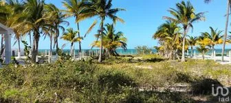 NEX-284486 - Terreno en Venta en San Crisanto, CP 97424, Yucatán.