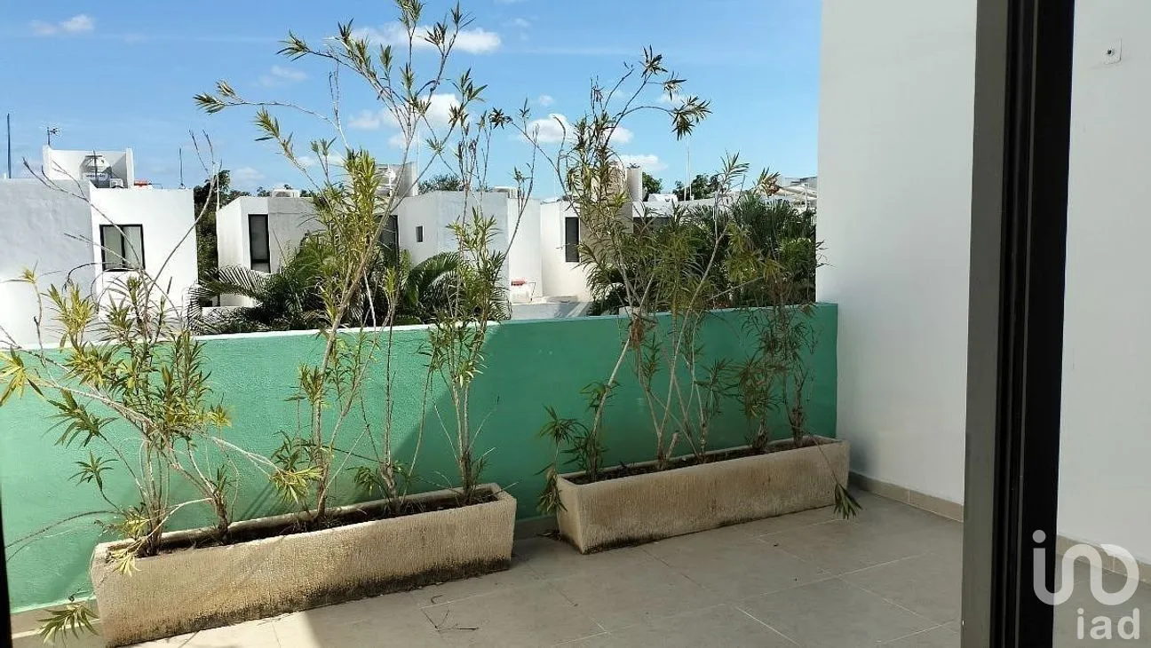 Casa en Renta en Santa Gertrudis Copo, Mérida, Yucatán | NEX-288510 | iad México | Foto 17 de 22