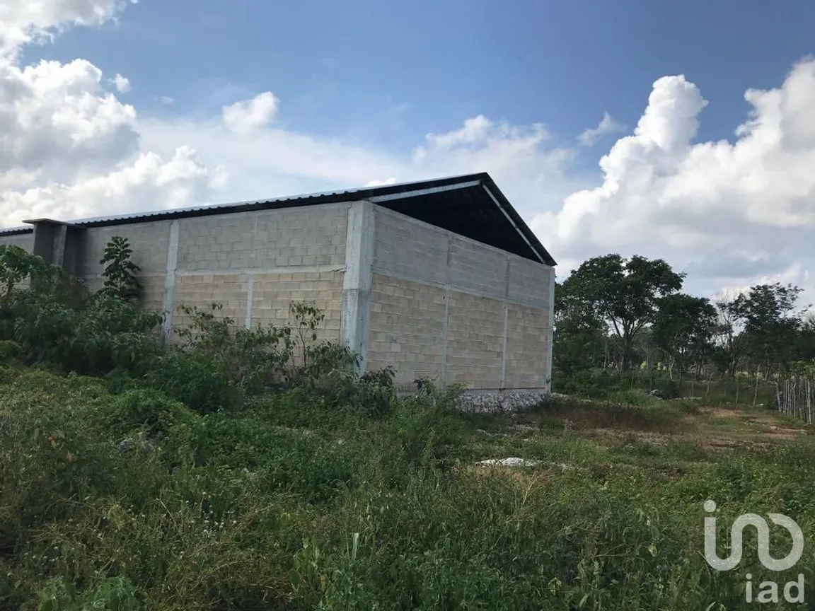 Terreno en Renta en Tetiz, Tetiz, Yucatán | NEX-229360 | iad México | Foto 3 de 8