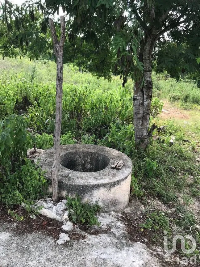 Terreno en Renta en Tetiz, Tetiz, Yucatán | NEX-229360 | iad México | Foto 4 de 8