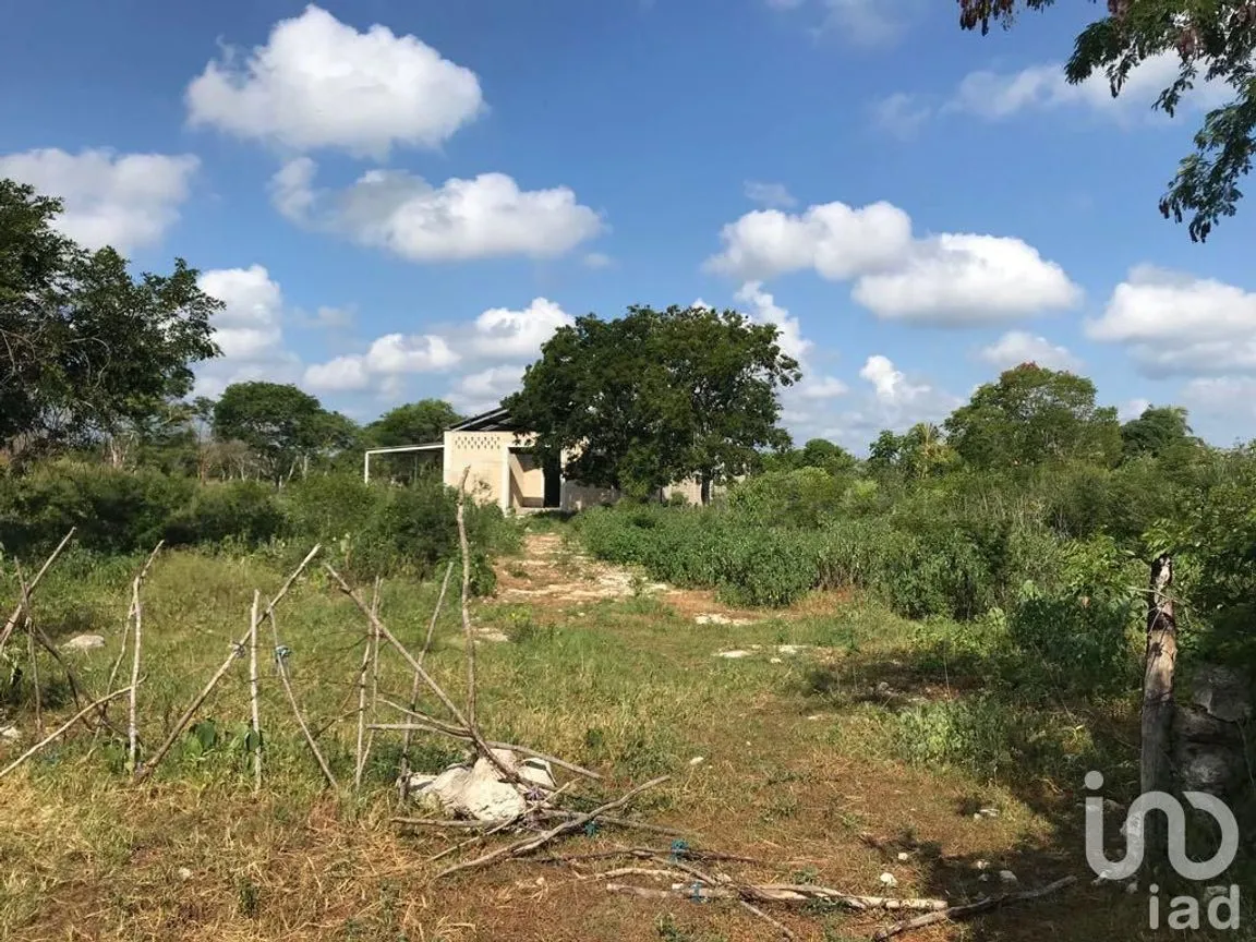 Terreno en Renta en Tetiz, Tetiz, Yucatán | NEX-229360 | iad México | Foto 6 de 8