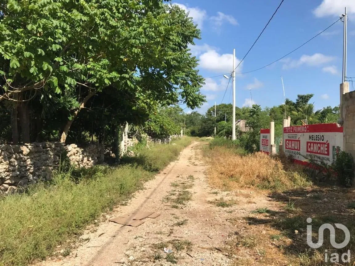 Terreno en Renta en Tetiz, Tetiz, Yucatán | NEX-229360 | iad México | Foto 7 de 8