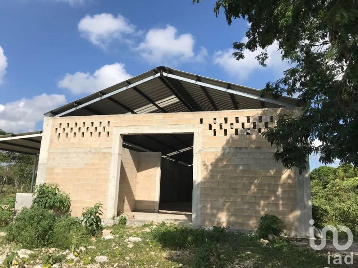 Terreno en Renta en Tetiz, Tetiz, Yucatán | NEX-229360 | iad México | Foto 8 de 8