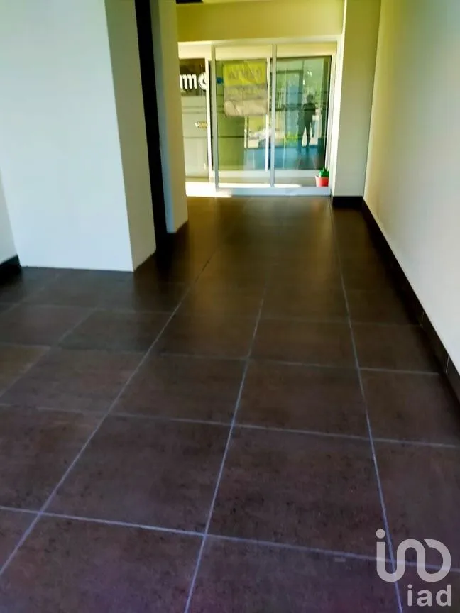 Oficina en Renta en Centro Sur, Querétaro, Querétaro | NEX-276908 | iad México | Foto 13 de 15