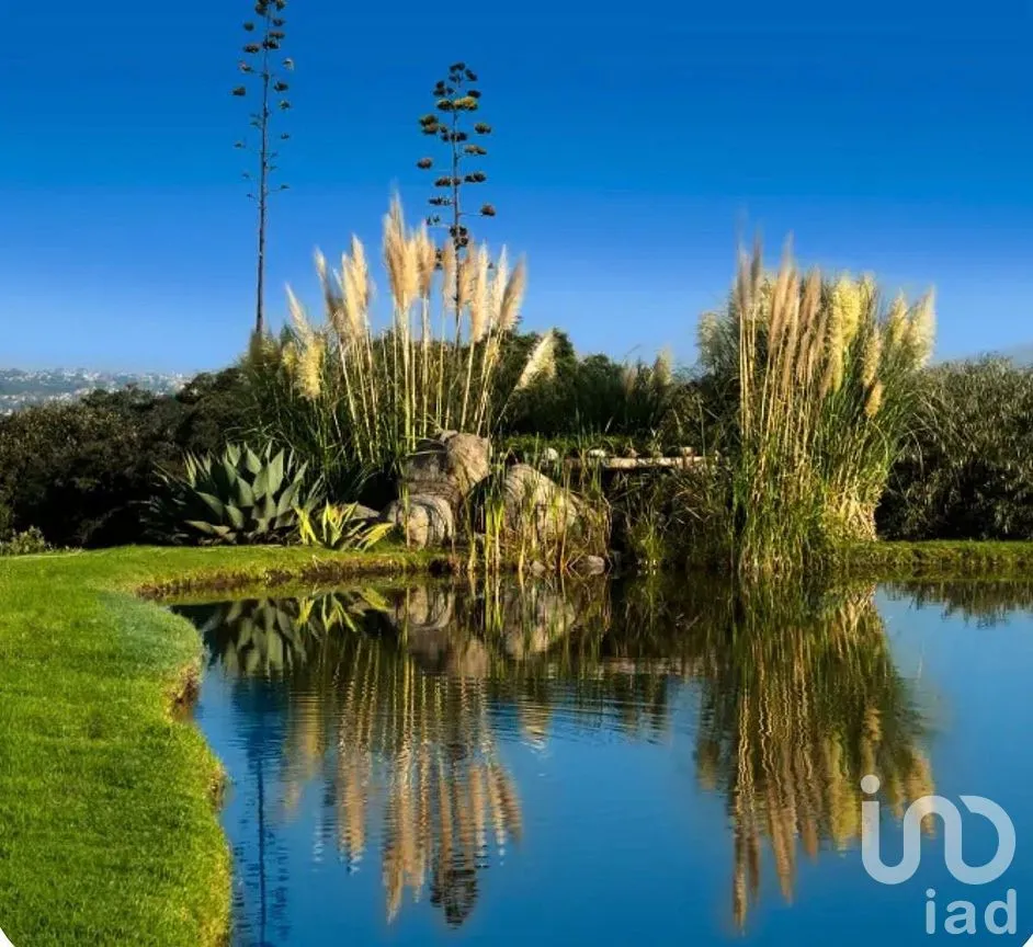 Terreno en Venta en Rancho San Juan, Atizapán de Zaragoza, Estado de México | NEX-293844 | iad México | Foto 7 de 16