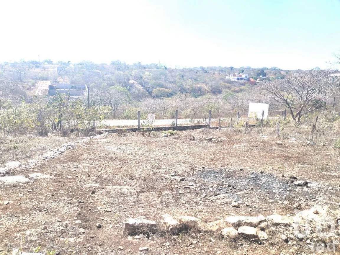 Terreno en Venta en El Caracol, Berriozábal, Chiapas | NEX-229760 | iad México | Foto 3 de 4